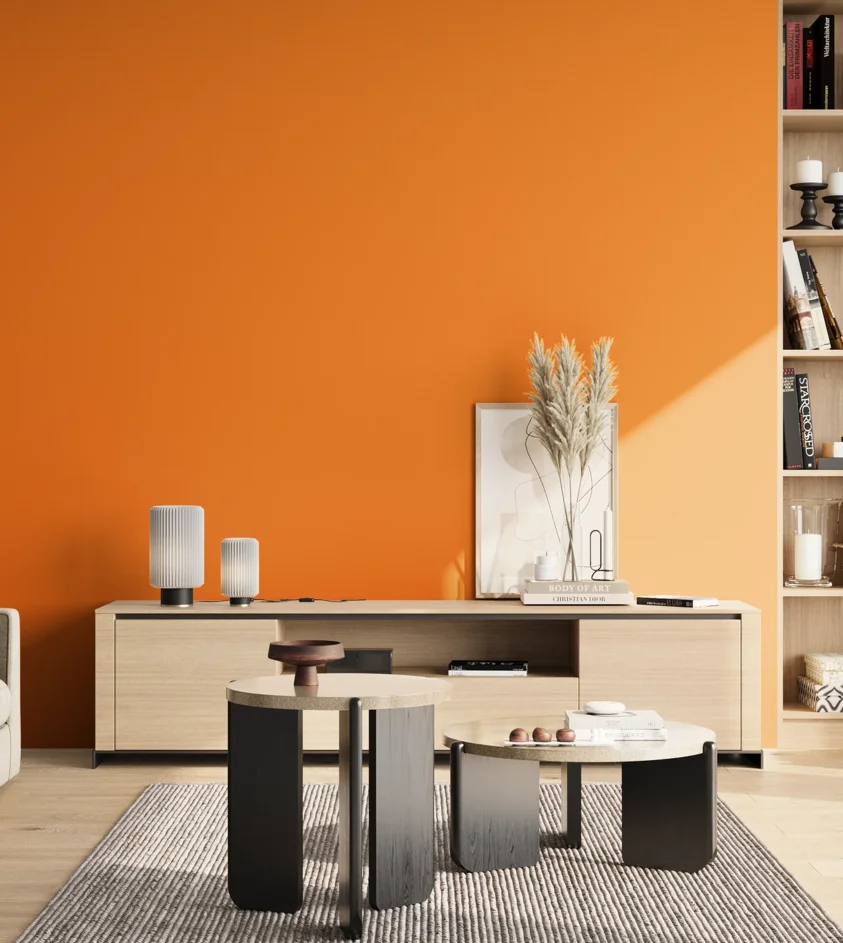 P10_SNIEZKA_salon_02_poludnie_GREY_S0585-Y40R