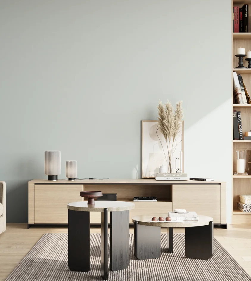 P10_SNIEZKA_salon_02_poludnie_GREY_S0804-B50G