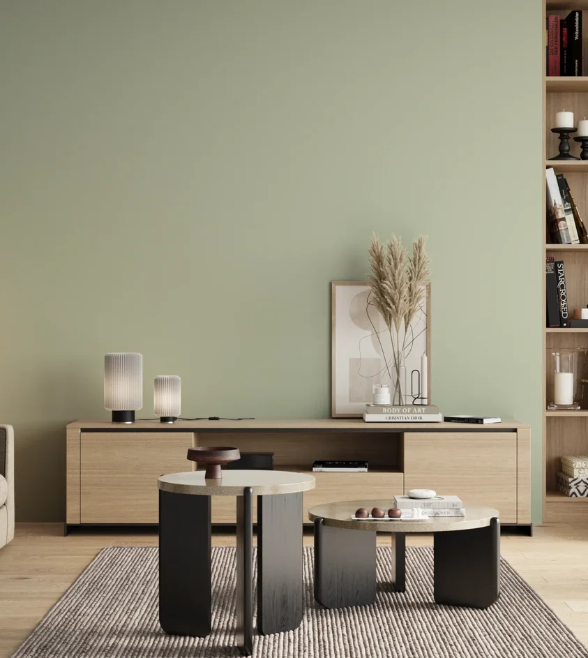 P10_SNIEZKA_salon_00_neutral_GREY_S1010-G30Y