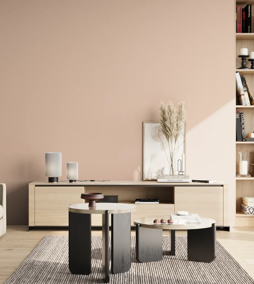P10_SNIEZKA_salon_02_poludnie_GREY_S1010-Y70R