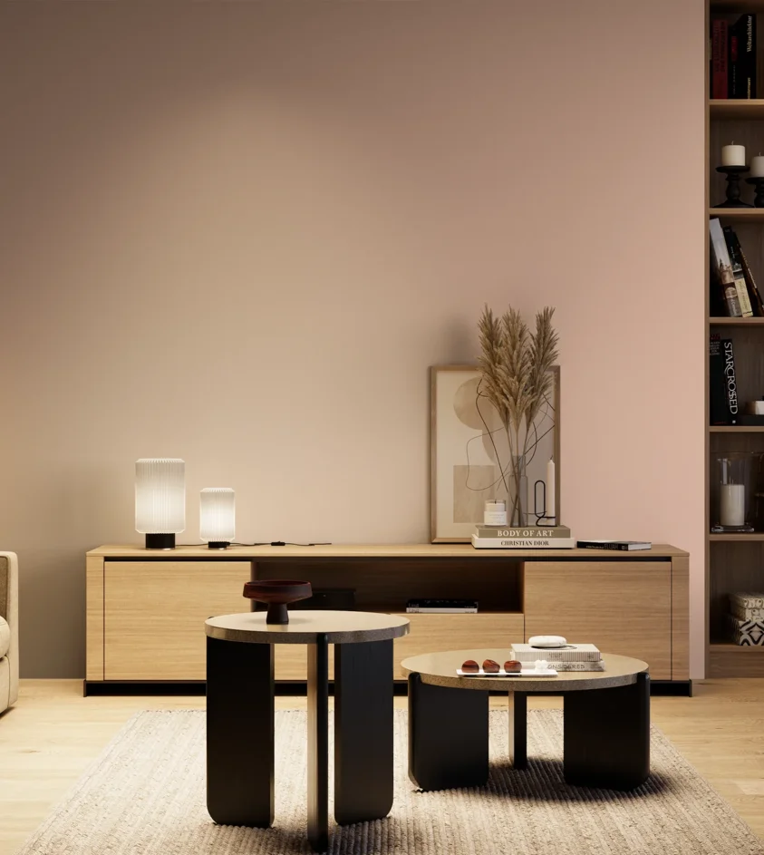 P10_SNIEZKA_salon_04_cieple_GREY_S1015-Y80R