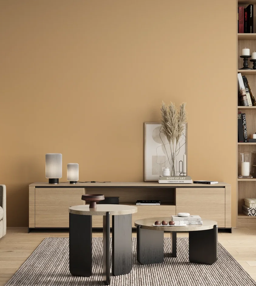 P10_SNIEZKA_salon_00_neutral_GREY_S1020-Y30R