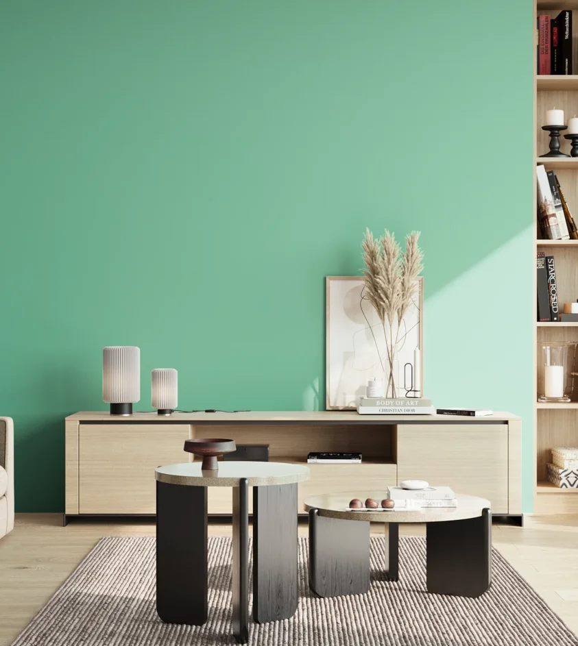 P10_SNIEZKA_salon_02_poludnie_GREY_S1040-B90G
