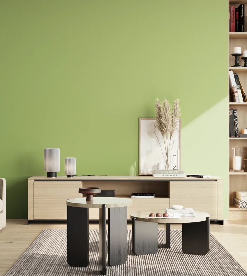 P10_SNIEZKA_salon_02_poludnie_GREY_S1040-G40Y