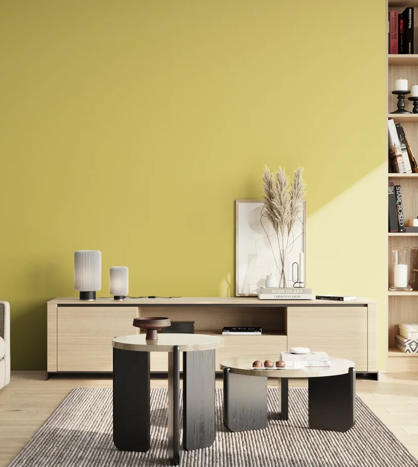 P10_SNIEZKA_salon_02_poludnie_GREY_S1040-G90Y