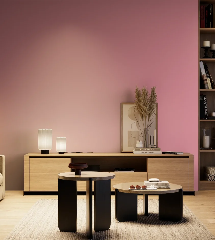 P10_SNIEZKA_salon_04_cieple_GREY_S1040-R20B