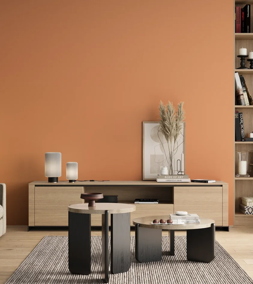 P10_SNIEZKA_salon_00_neutral_GREY_S1040-Y50R