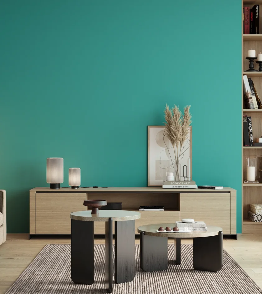 P10_SNIEZKA_salon_00_neutral_GREY_S1050-B50G