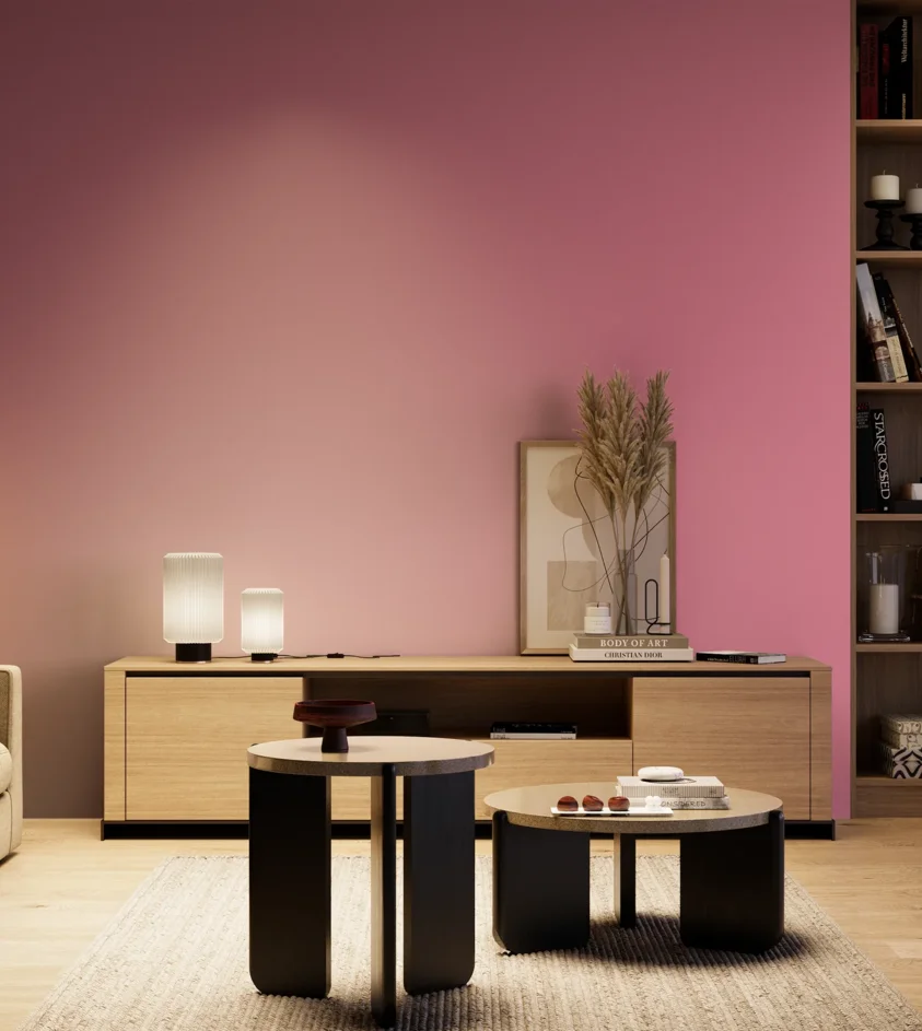 P10_SNIEZKA_salon_04_cieple_GREY_S1050-R20B
