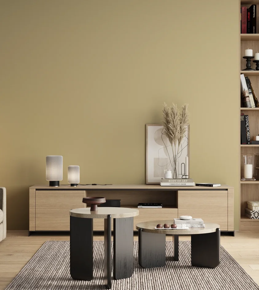 P10_SNIEZKA_salon_00_neutral_GREY_S1515-Y