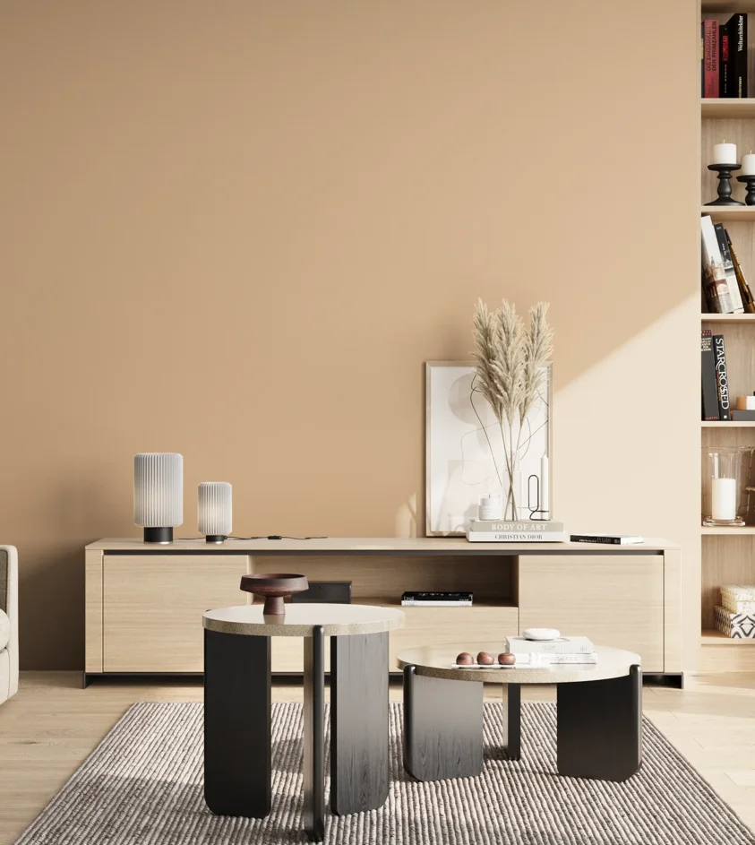P10_SNIEZKA_salon_02_poludnie_GREY_S1515-Y40R