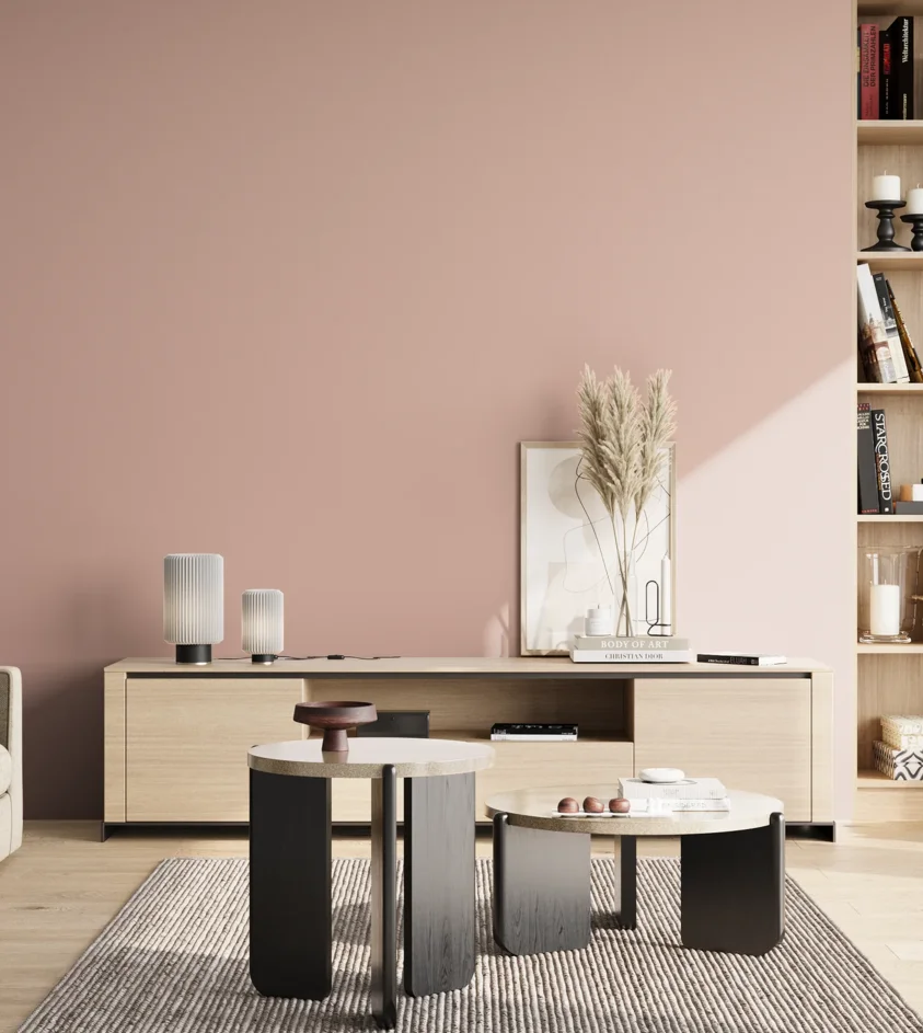 P10_SNIEZKA_salon_02_poludnie_GREY_S1515-Y90R