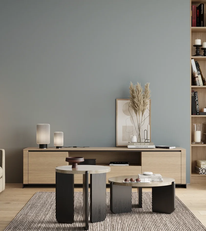 P10_SNIEZKA_salon_00_neutral_GREY_S2010-B
