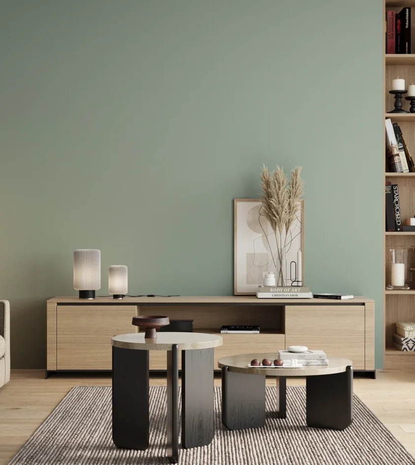 P10_SNIEZKA_salon_00_neutral_GREY_S2010-B90G