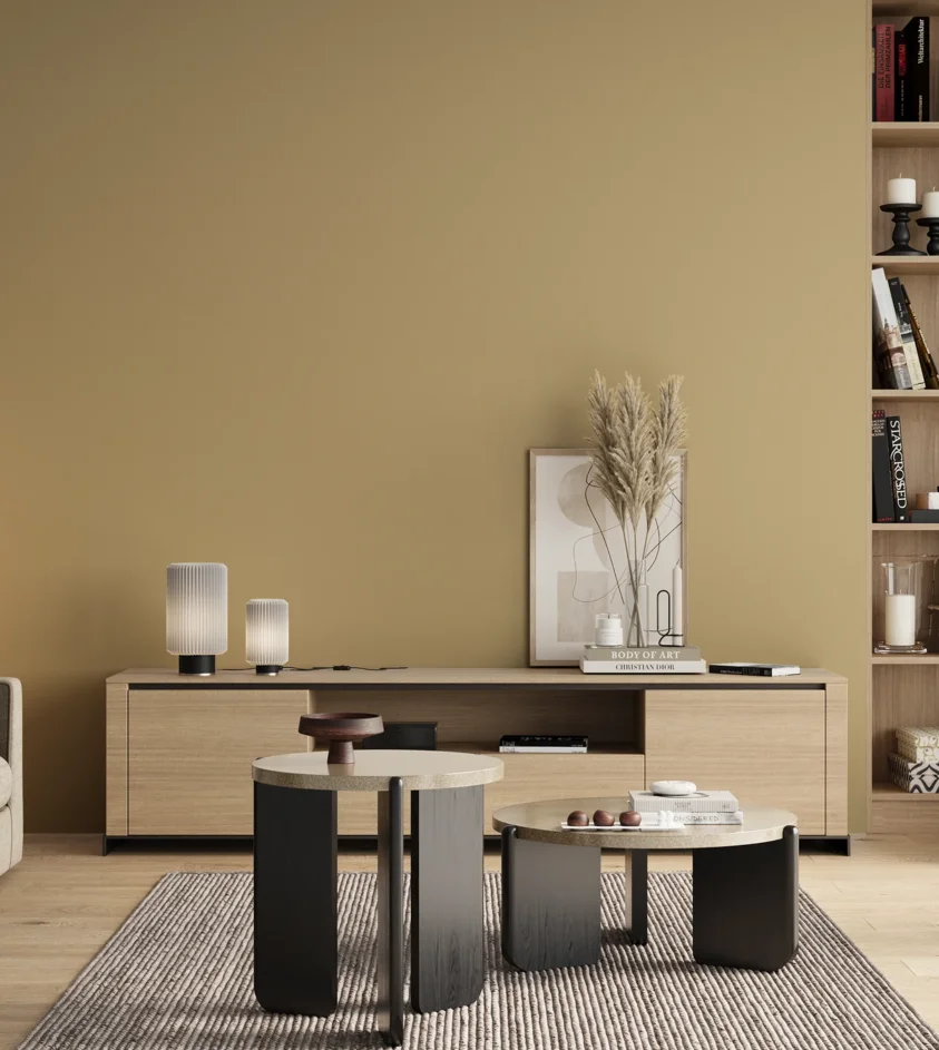 P10_SNIEZKA_salon_00_neutral_GREY_S2020-Y10R