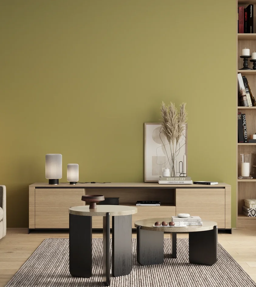 P10_SNIEZKA_salon_00_neutral_GREY_S2030-G80Y