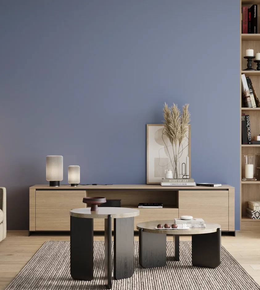 P10_SNIEZKA_salon_00_neutral_GREY_S2030-R80B