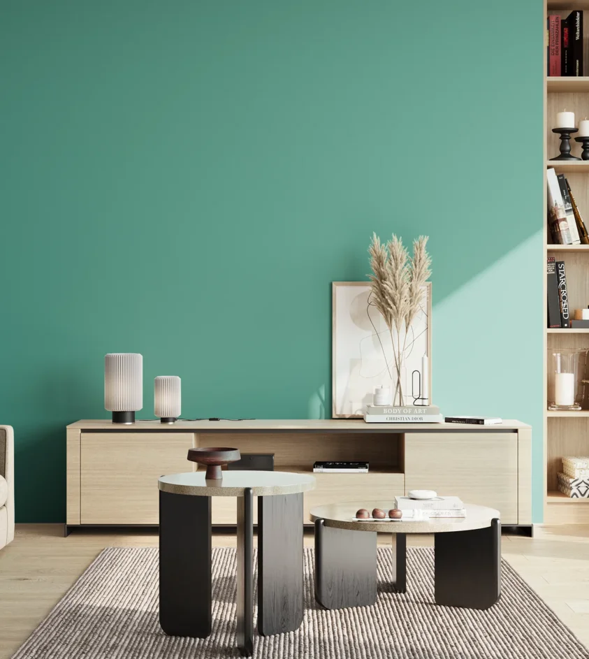 P10_SNIEZKA_salon_02_poludnie_GREY_S2040-B70G