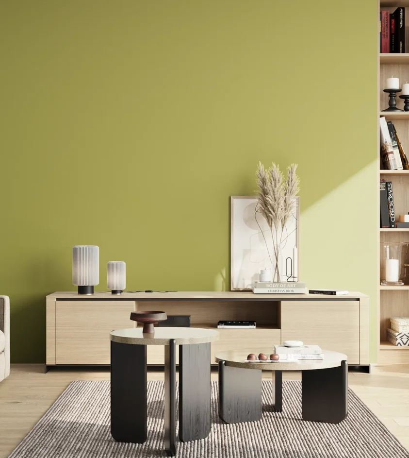P10_SNIEZKA_salon_02_poludnie_GREY_S2040-G70Y