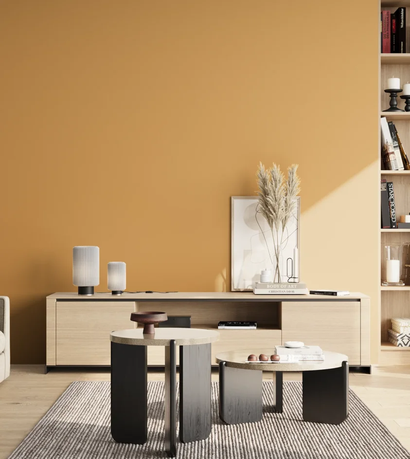P10_SNIEZKA_salon_02_poludnie_GREY_S2040-Y20R