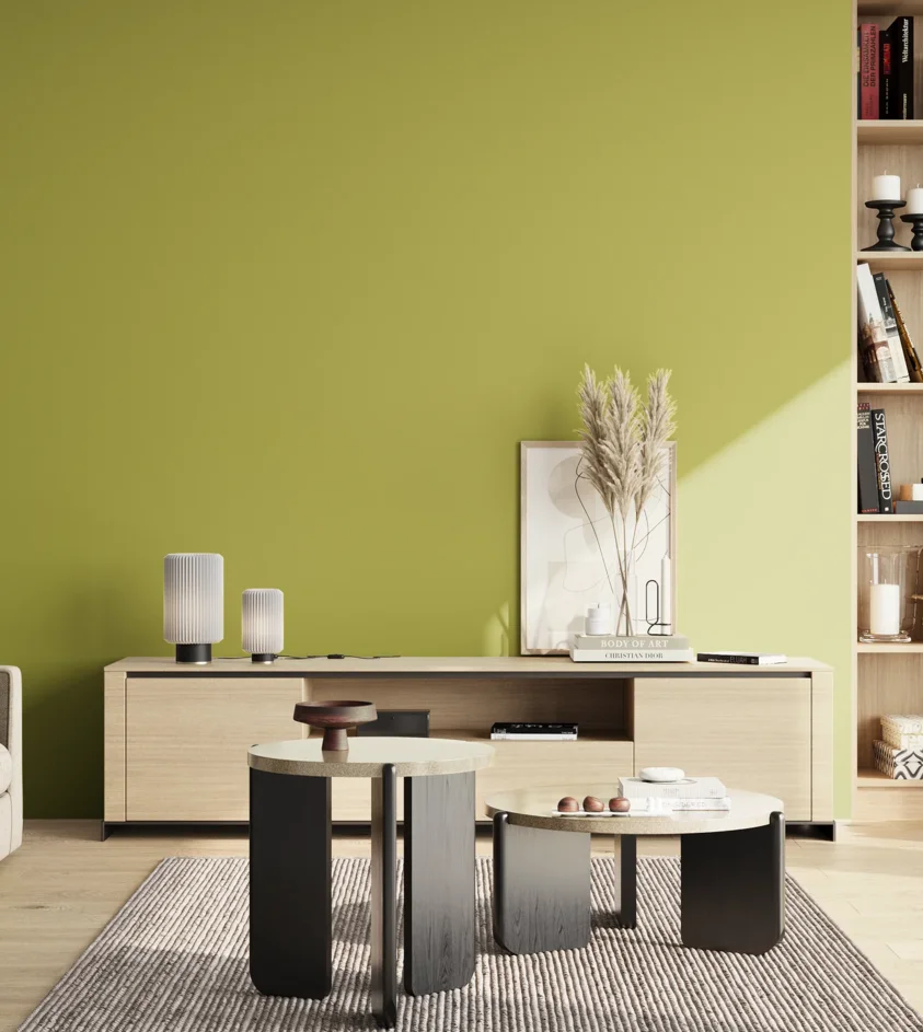P10_SNIEZKA_salon_02_poludnie_GREY_S2050-G70Y