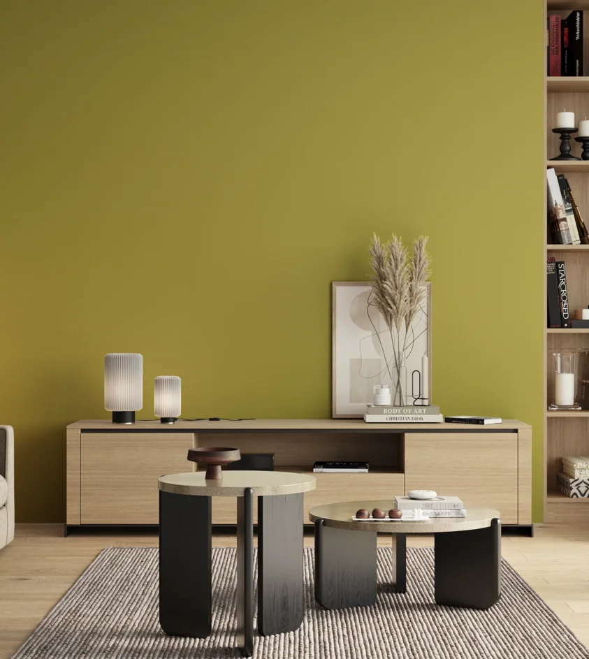 P10_SNIEZKA_salon_00_neutral_GREY_S2050-G80Y