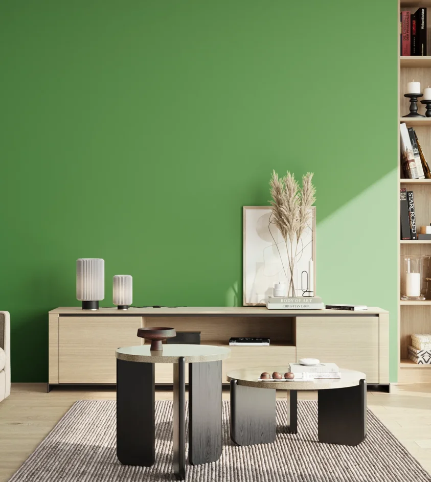P10_SNIEZKA_salon_02_poludnie_GREY_S2060-G20Y