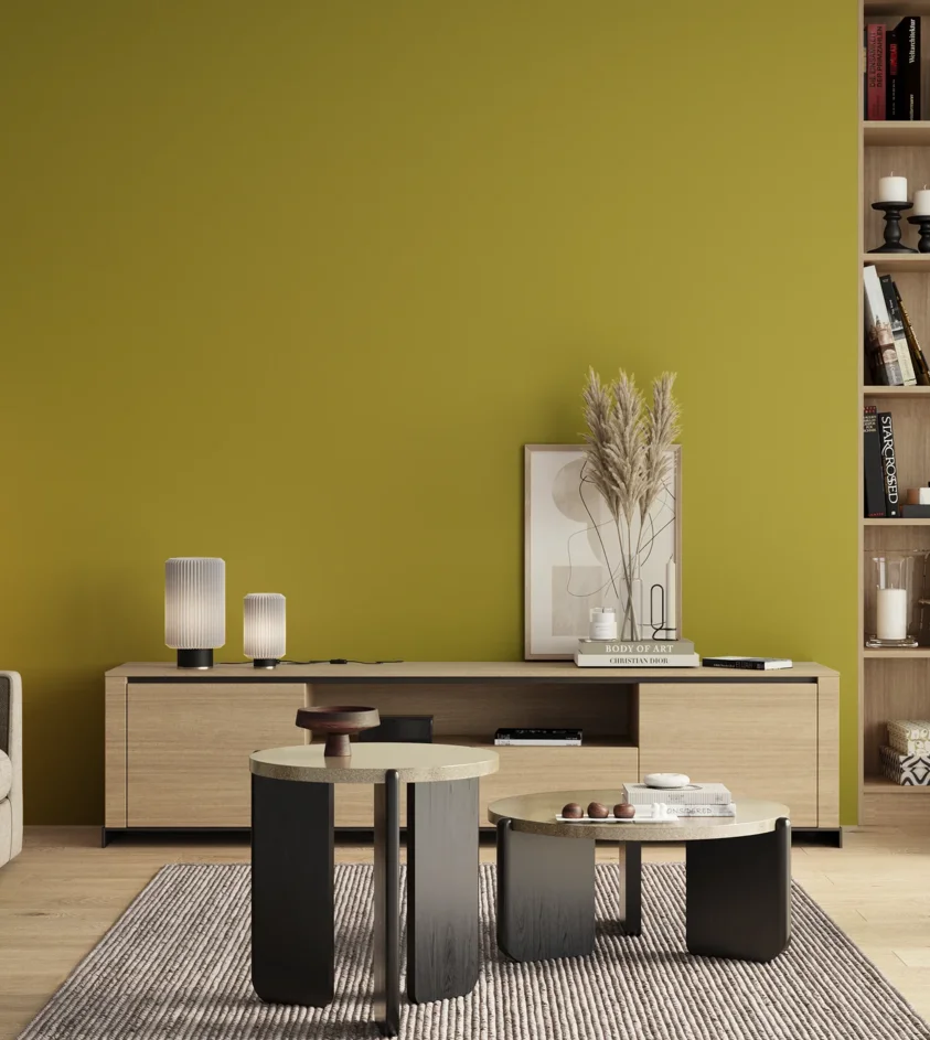 P10_SNIEZKA_salon_00_neutral_GREY_S2060-G80Y