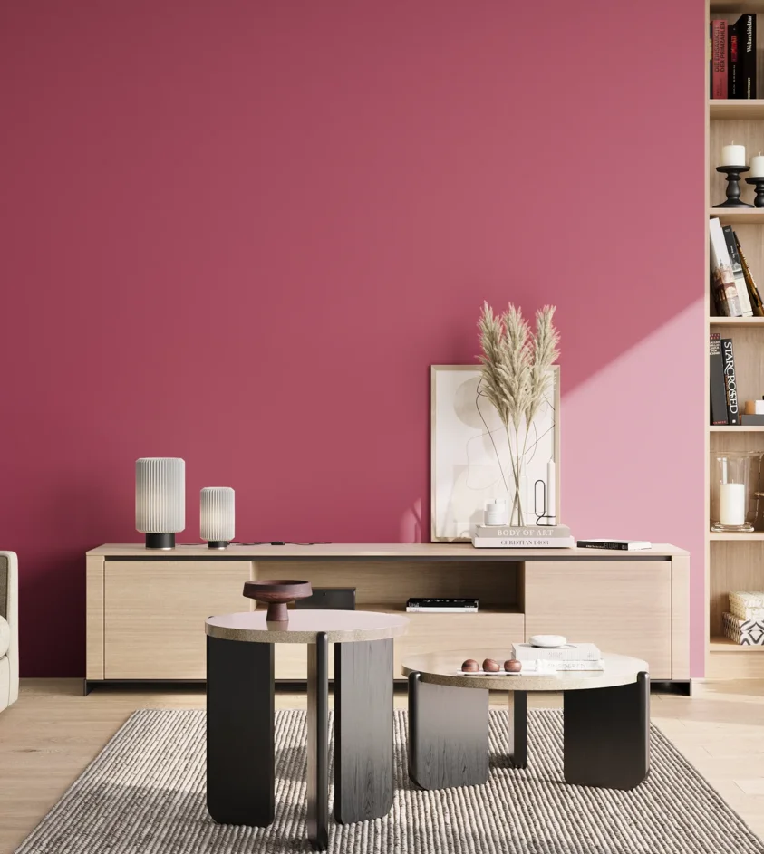 P10_SNIEZKA_salon_02_poludnie_GREY_S2060-R20B