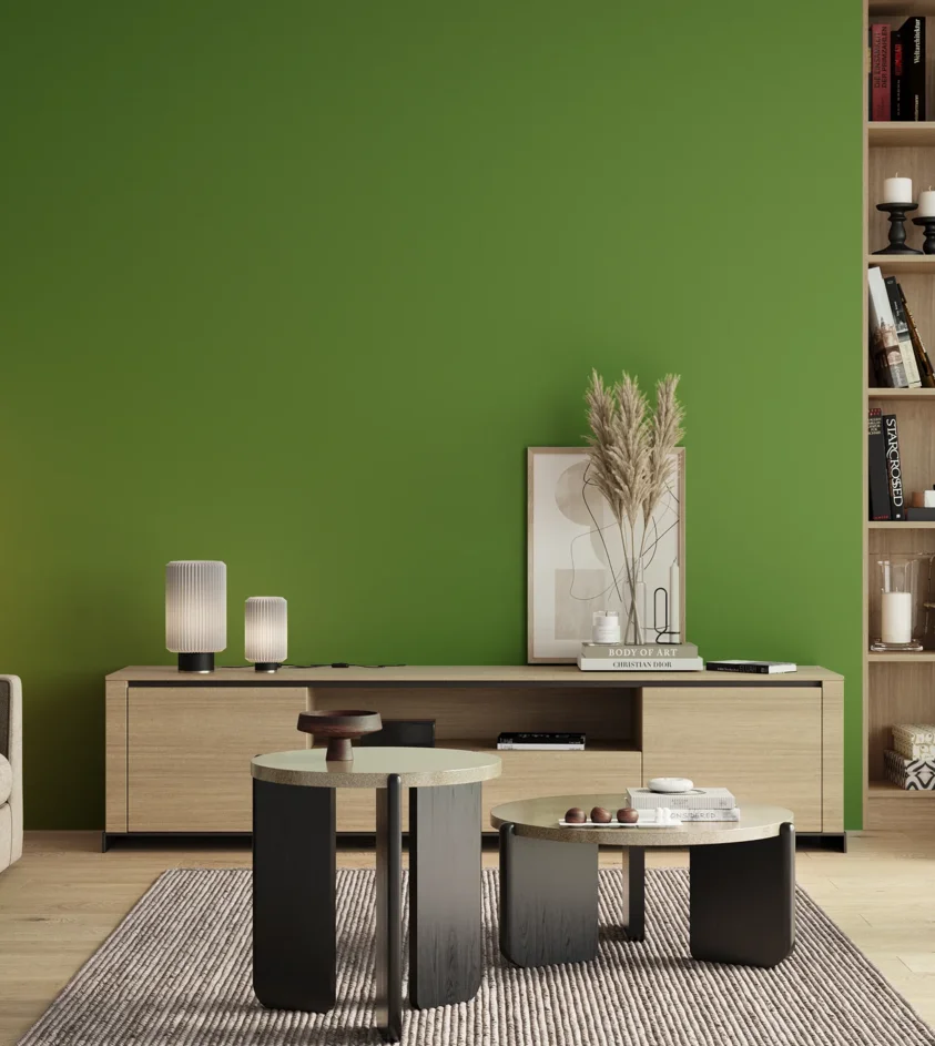 P10_SNIEZKA_salon_00_neutral_GREY_S2070-G30Y