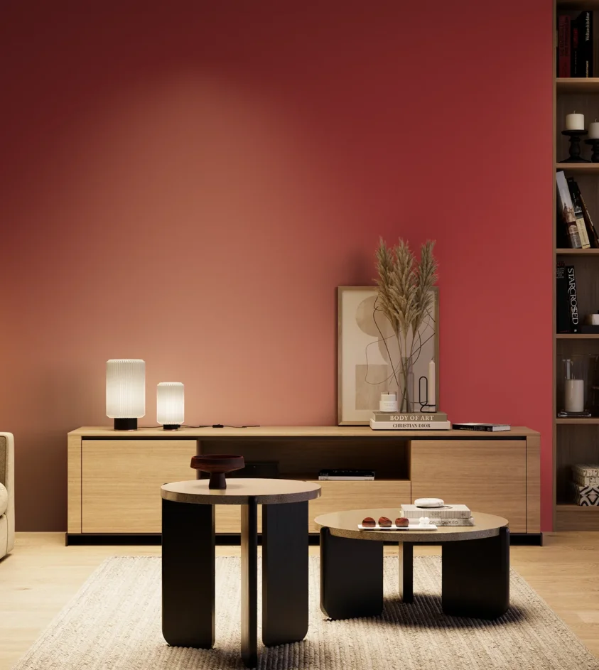 P10_SNIEZKA_salon_04_cieple_GREY_S2070-R