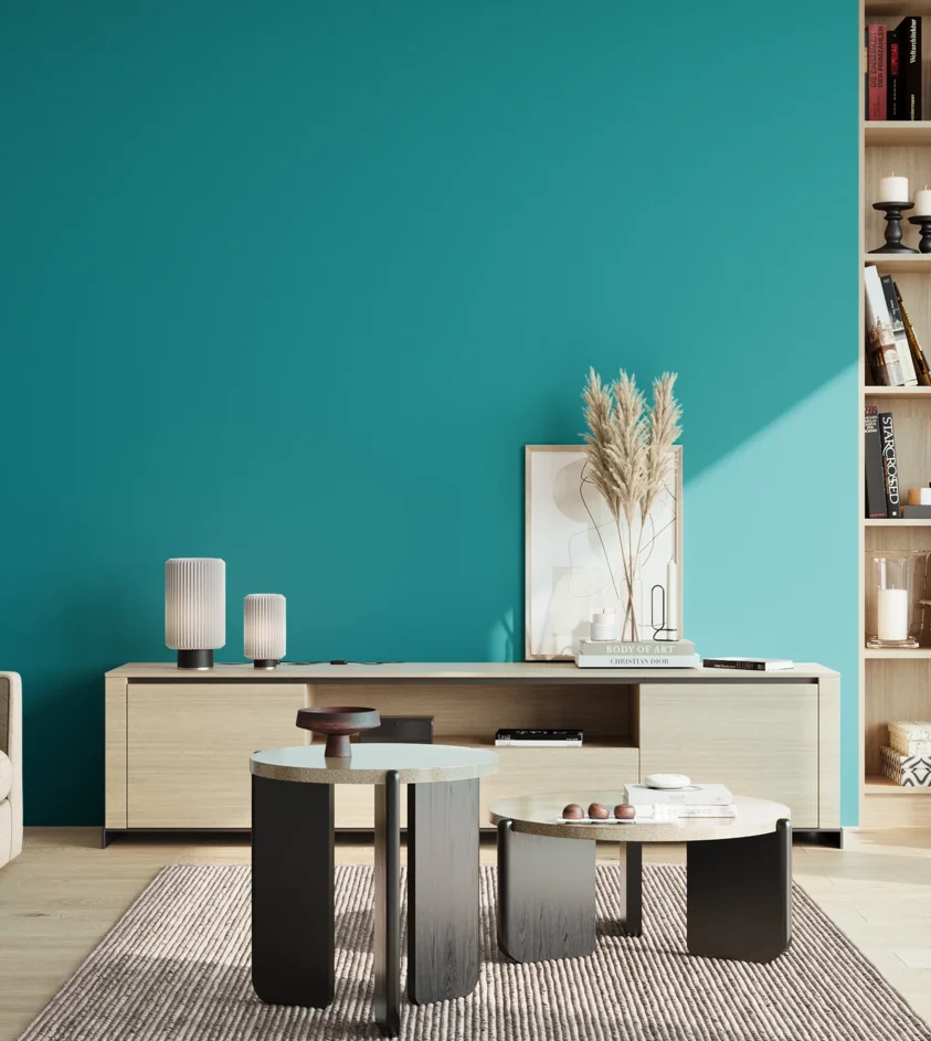 P10_SNIEZKA_salon_02_poludnie_GREY_S2555-B30G