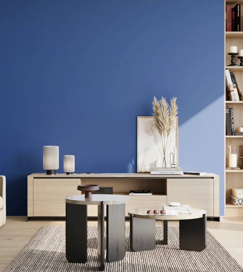 P10_SNIEZKA_salon_02_poludnie_GREY_S2565-R80B