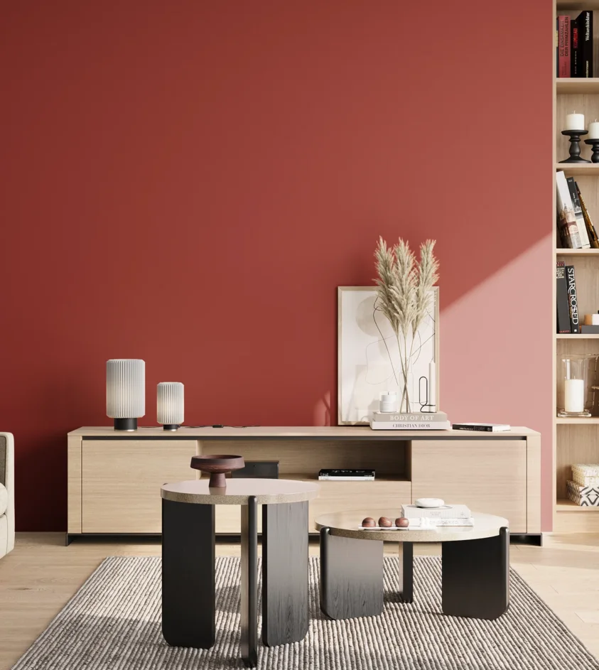 P10_SNIEZKA_salon_02_poludnie_GREY_S2570-Y90R