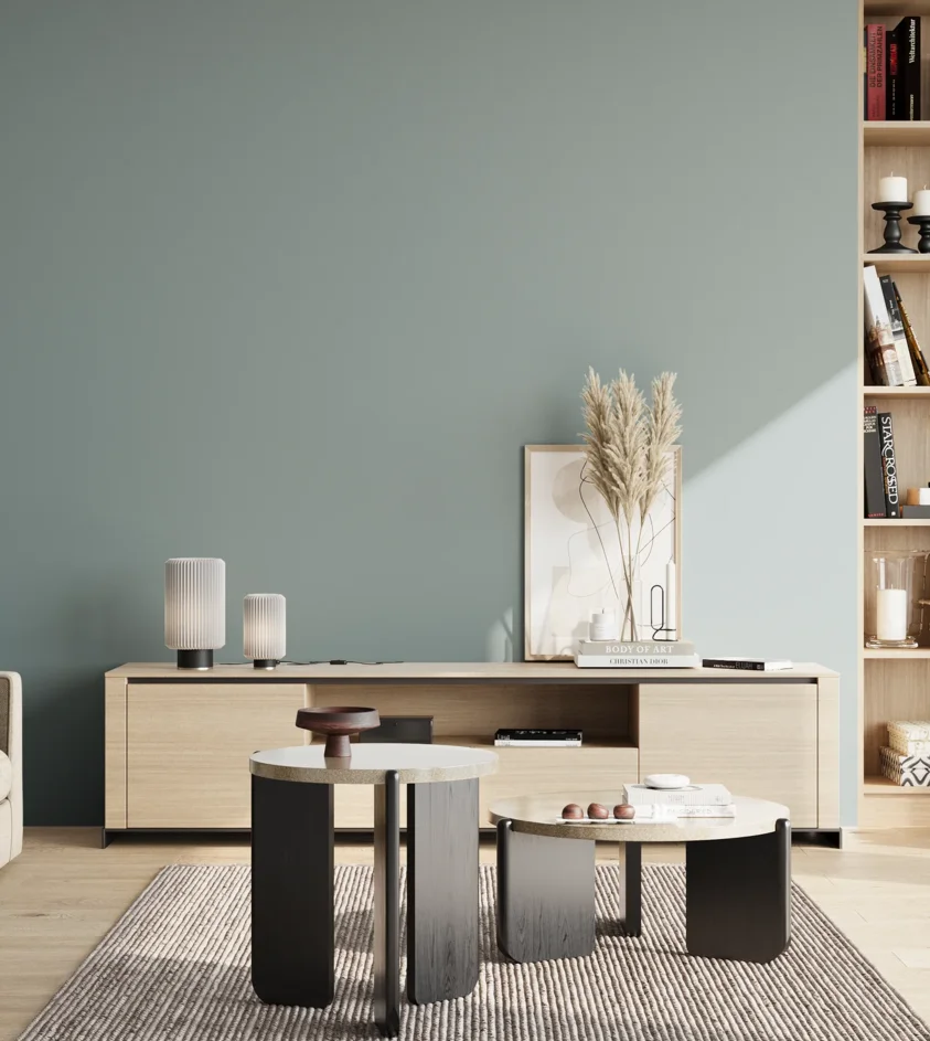 P10_SNIEZKA_salon_02_poludnie_GREY_S3010-B30G