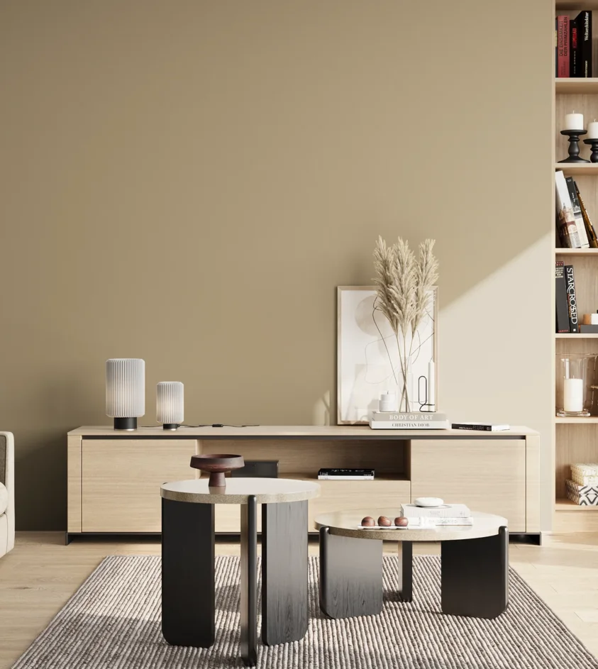 P10_SNIEZKA_salon_02_poludnie_GREY_S3010-Y10R