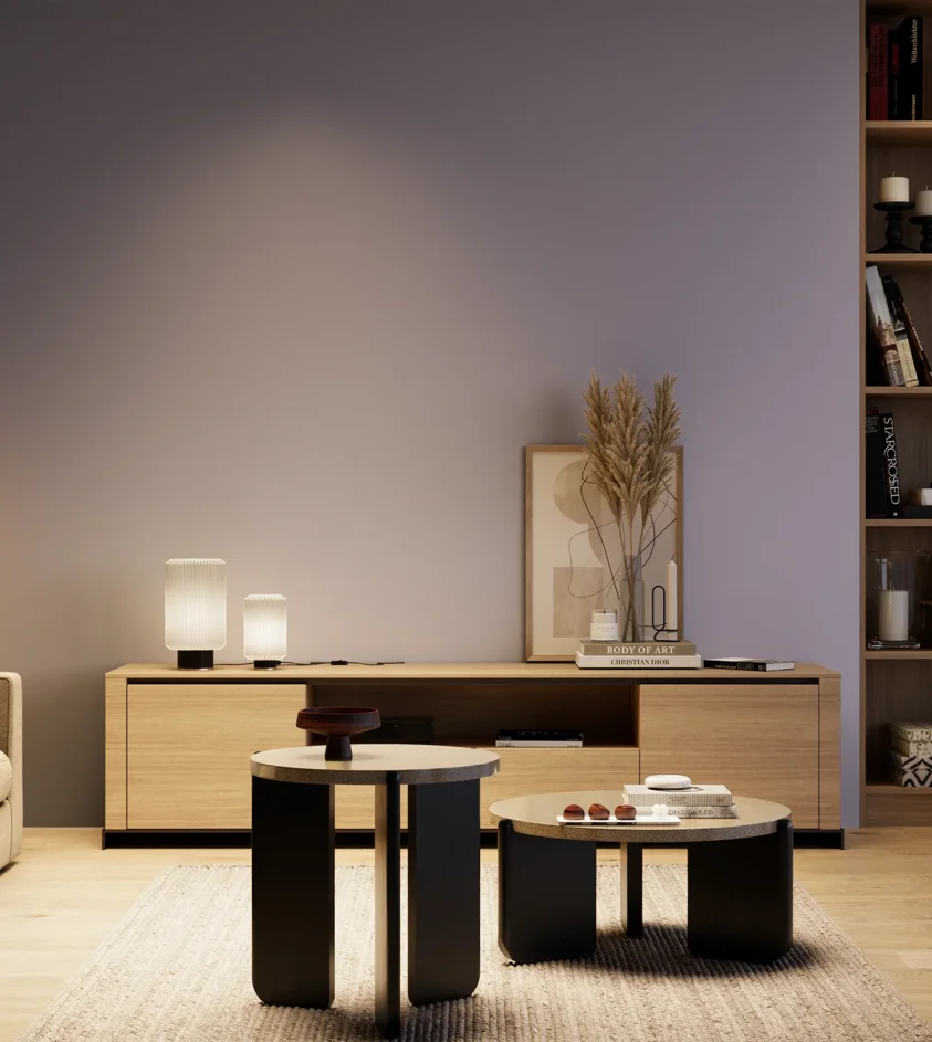 P10_SNIEZKA_salon_04_cieple_GREY_S3020-R60B
