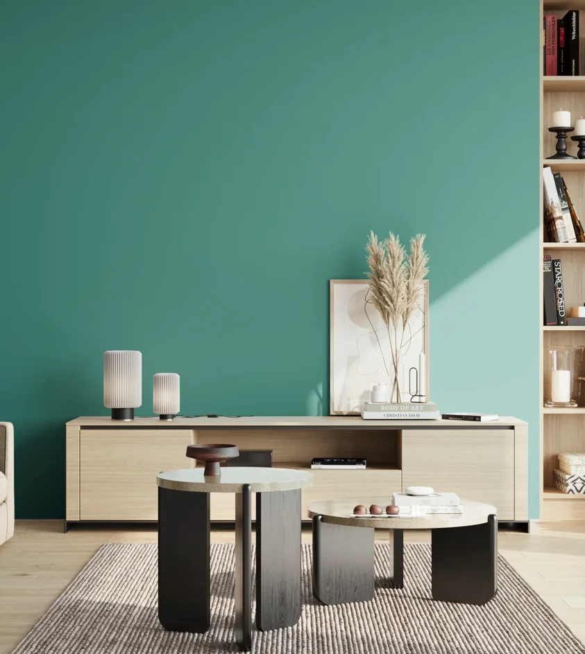 P10_SNIEZKA_salon_02_poludnie_GREY_S3040-B60G