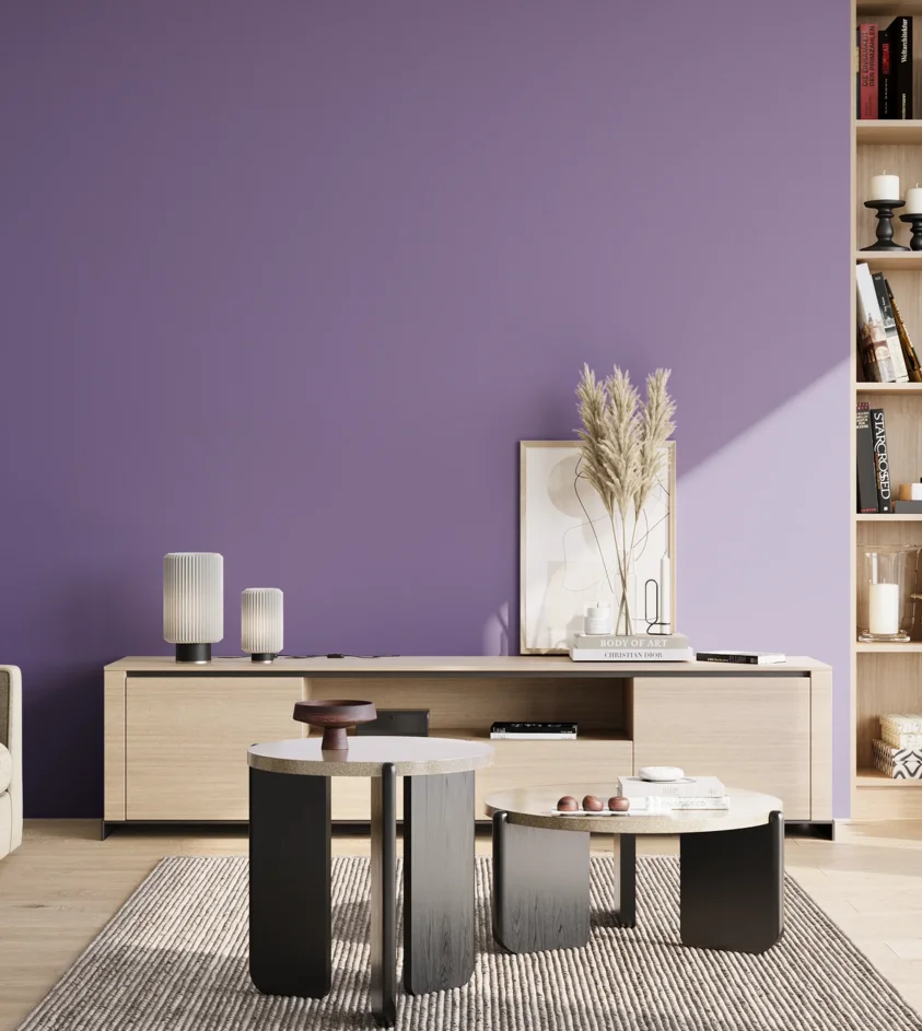 P10_SNIEZKA_salon_02_poludnie_GREY_S3040-R60B