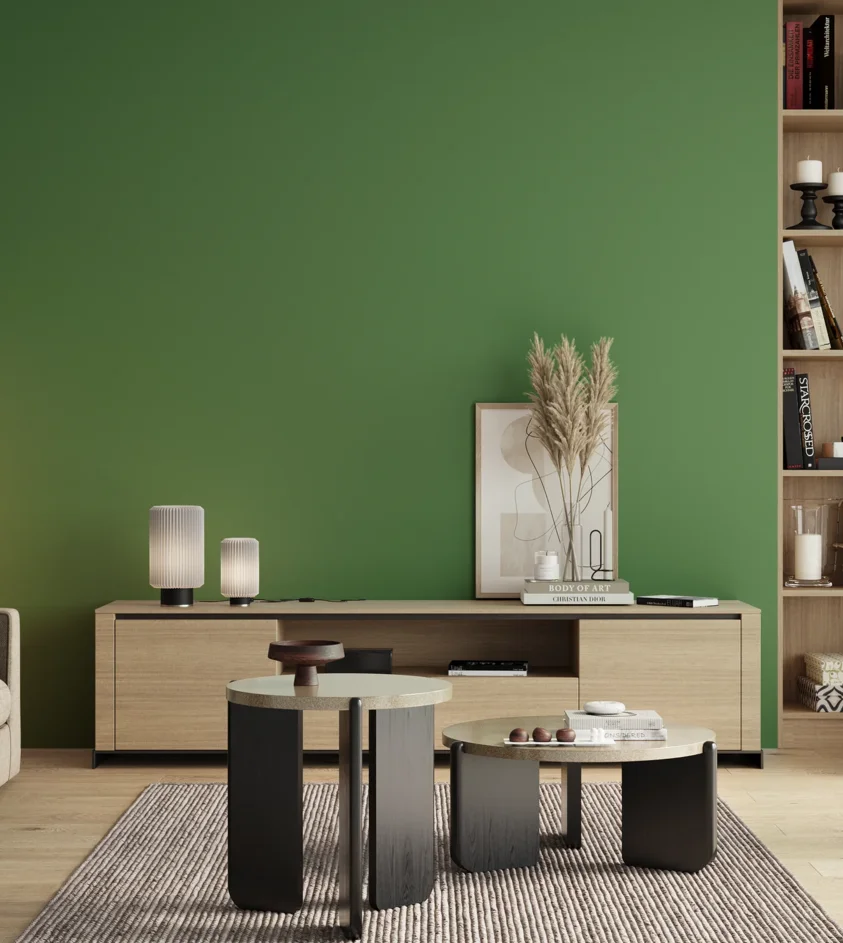 P10_SNIEZKA_salon_00_neutral_GREY_S3050-G20Y