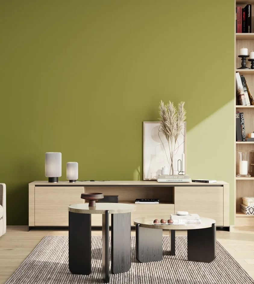 P10_SNIEZKA_salon_02_poludnie_GREY_S3050-G60Y