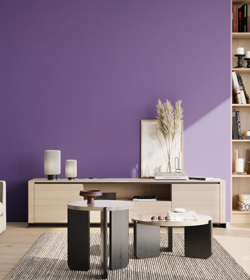 P10_SNIEZKA_salon_02_poludnie_GREY_S3050-R60B