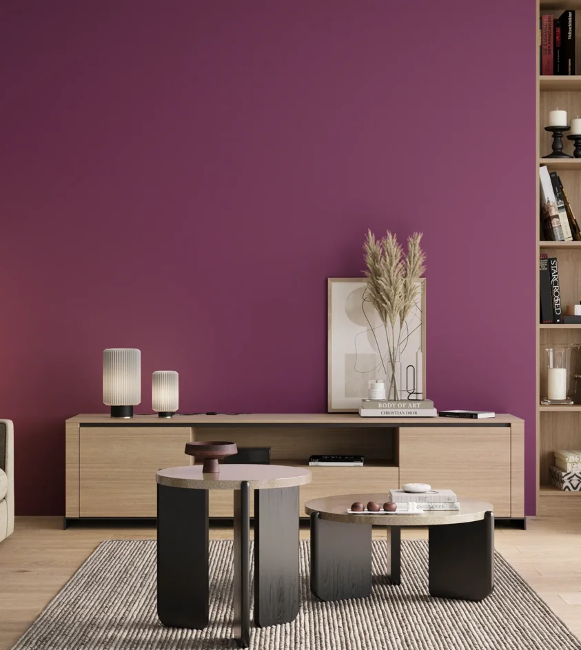 P10_SNIEZKA_salon_00_neutral_GREY_S3055-R40B