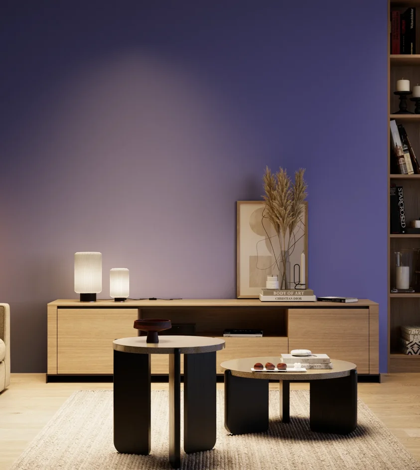 P10_SNIEZKA_salon_04_cieple_GREY_S3060-R70B
