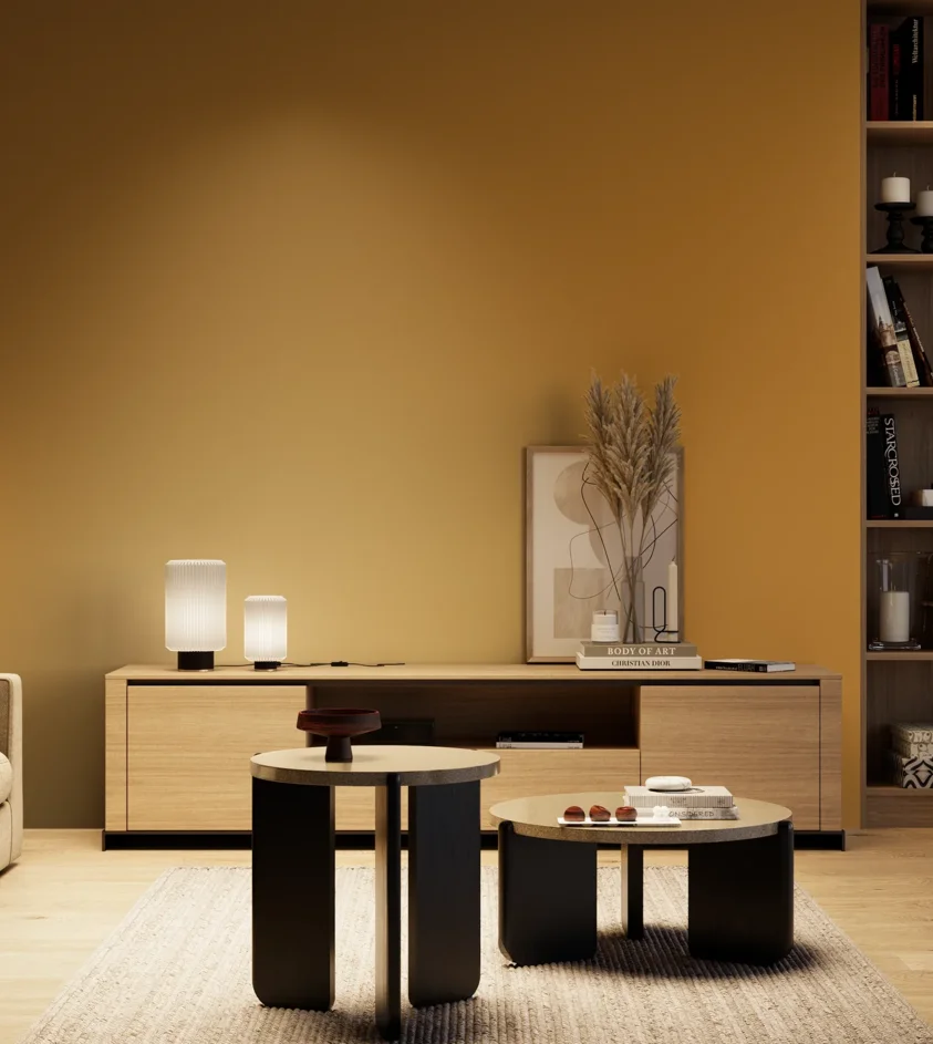 P10_SNIEZKA_salon_04_cieple_GREY_S3060-Y20R
