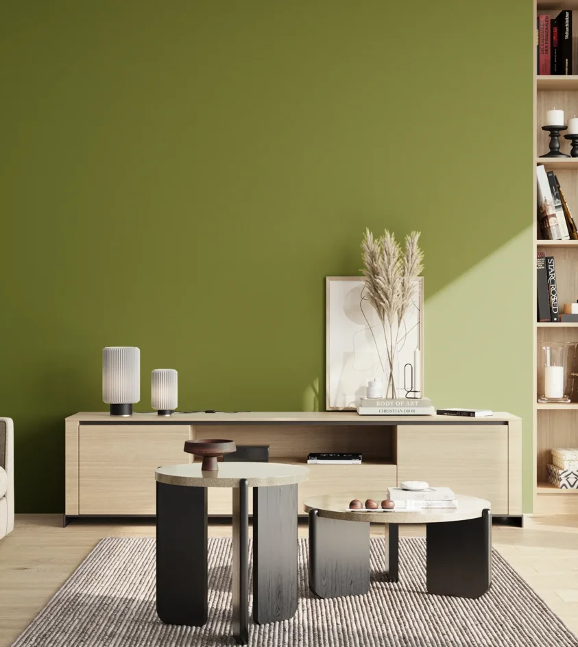 P10_SNIEZKA_salon_02_poludnie_GREY_S3560-G50Y