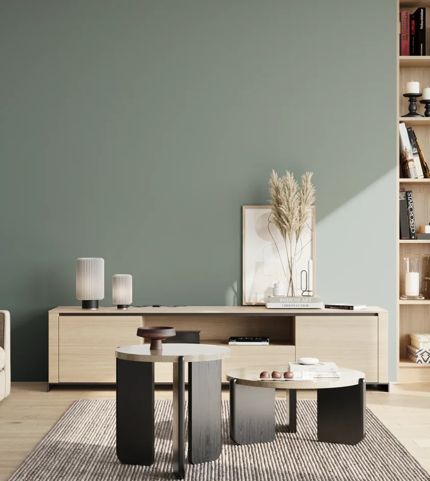 P10_SNIEZKA_salon_02_poludnie_GREY_S4010-B70G