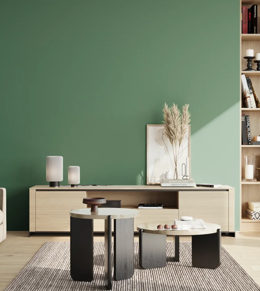 P10_SNIEZKA_salon_02_poludnie_GREY_S4030-G