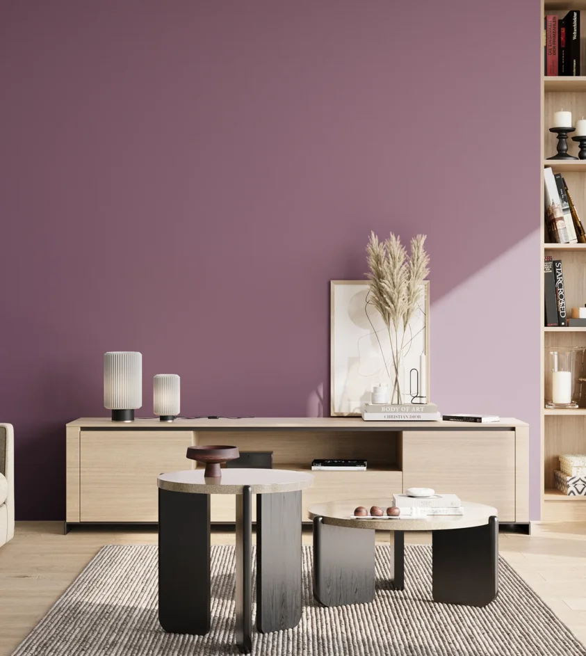 P10_SNIEZKA_salon_02_poludnie_GREY_S4030-R40B