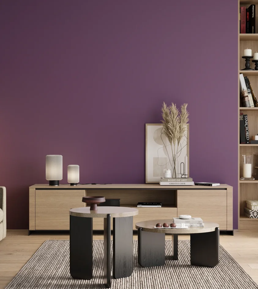 P10_SNIEZKA_salon_00_neutral_GREY_S4040-R50B